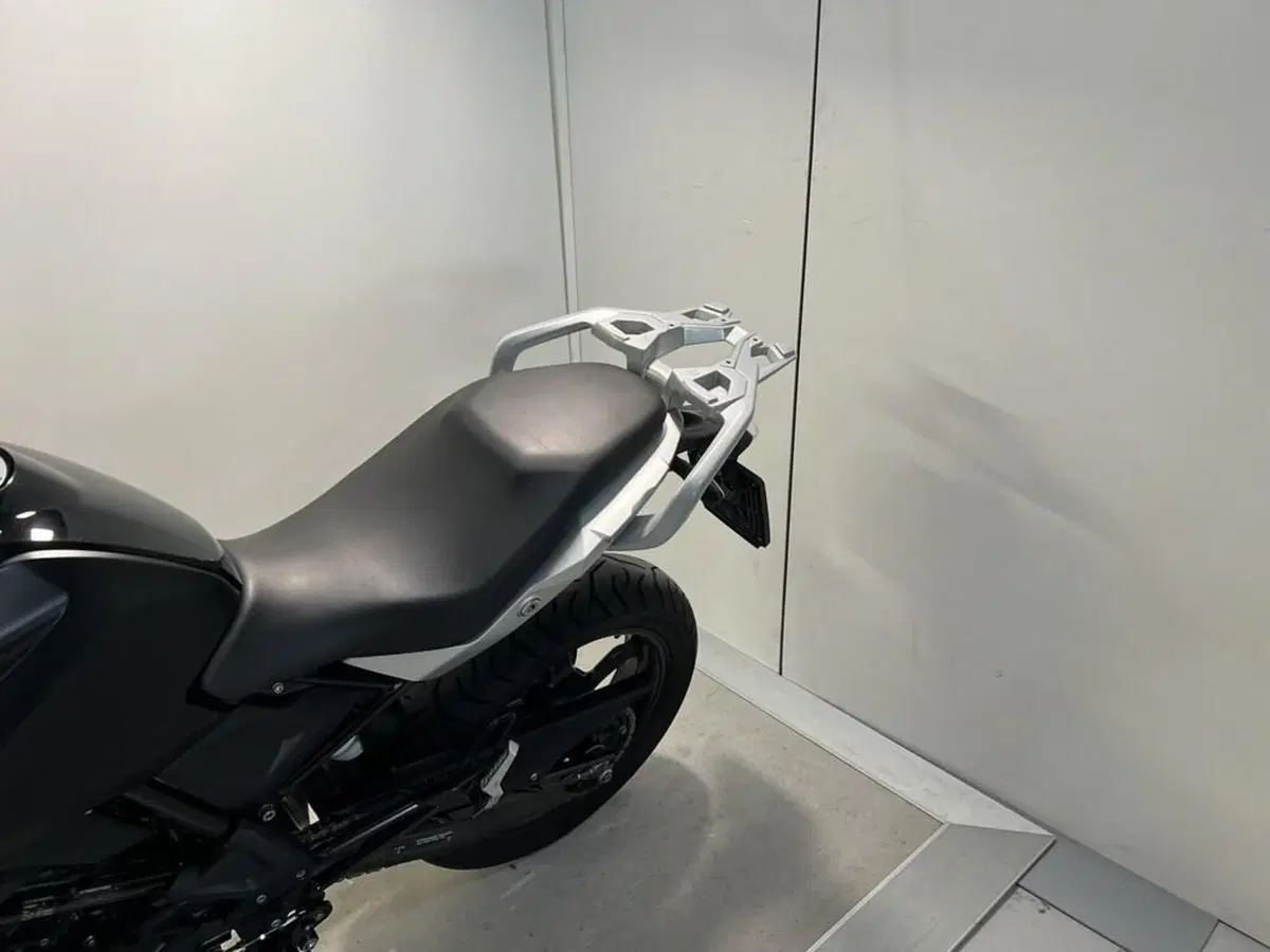 Bmw G 310 GS (2021 - 25) (2)