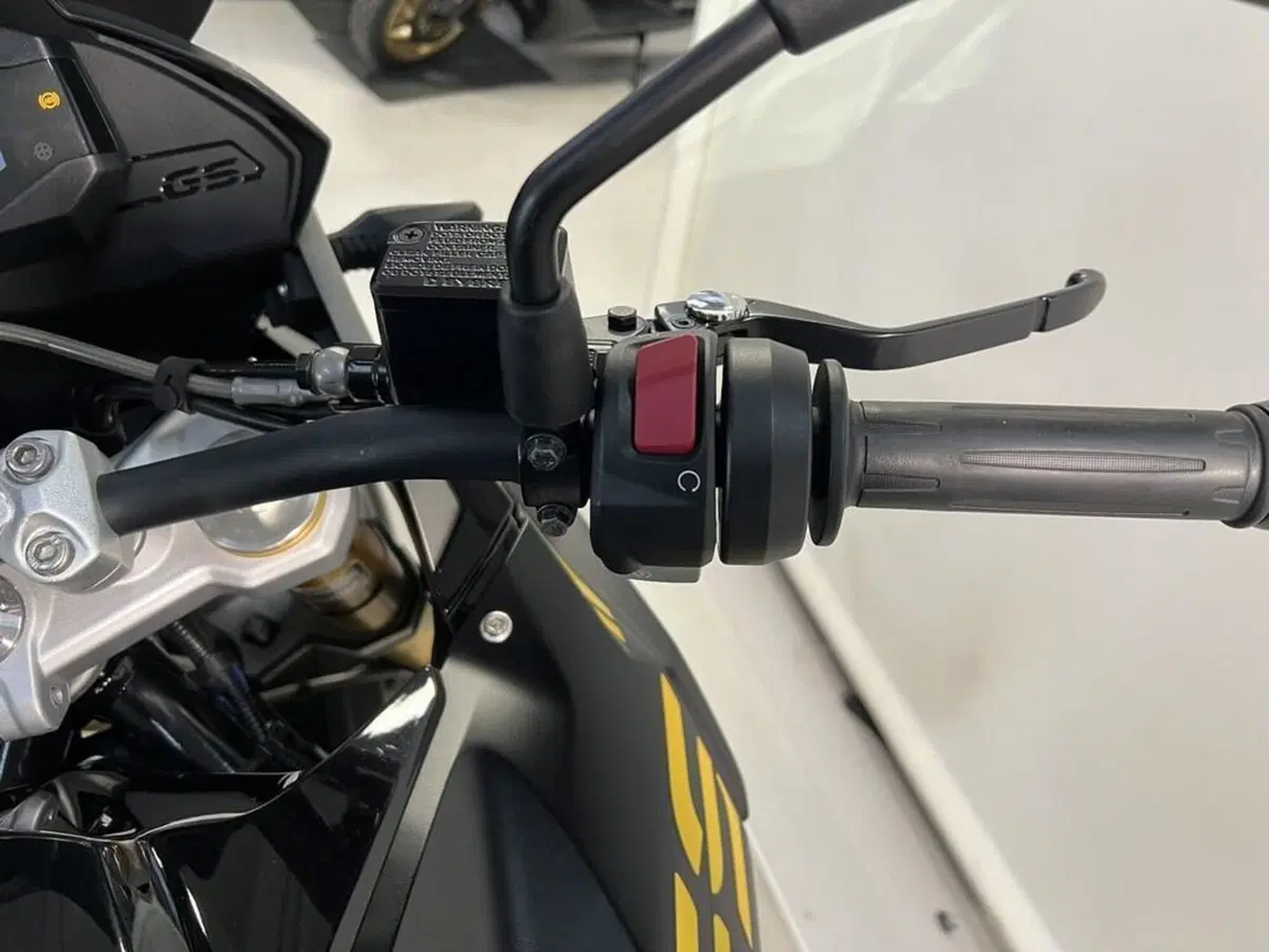 Bmw G 310 GS (2021 - 25) (8)
