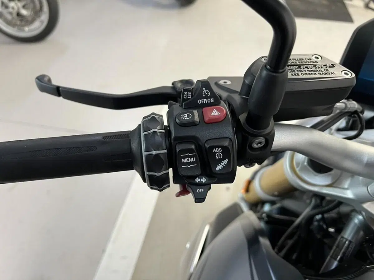 Bmw R 1250 R (2019 - 20) (7)
