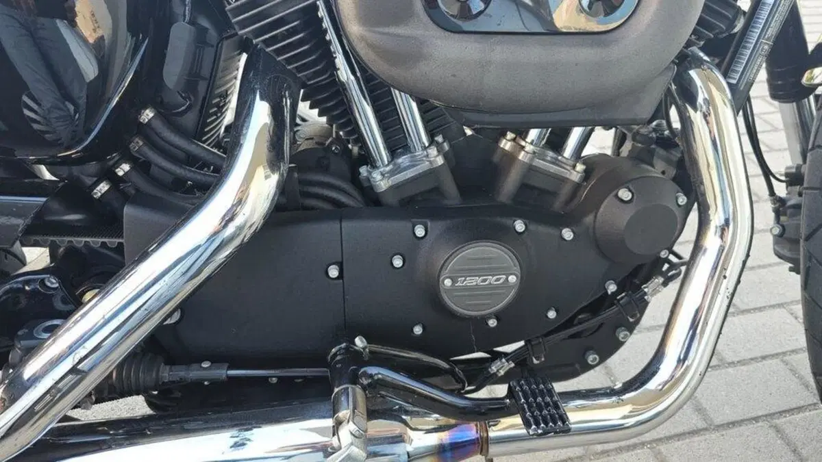 Harley-Davidson 1200 Roadster (2016 - 2017) - XL 1200R (6)