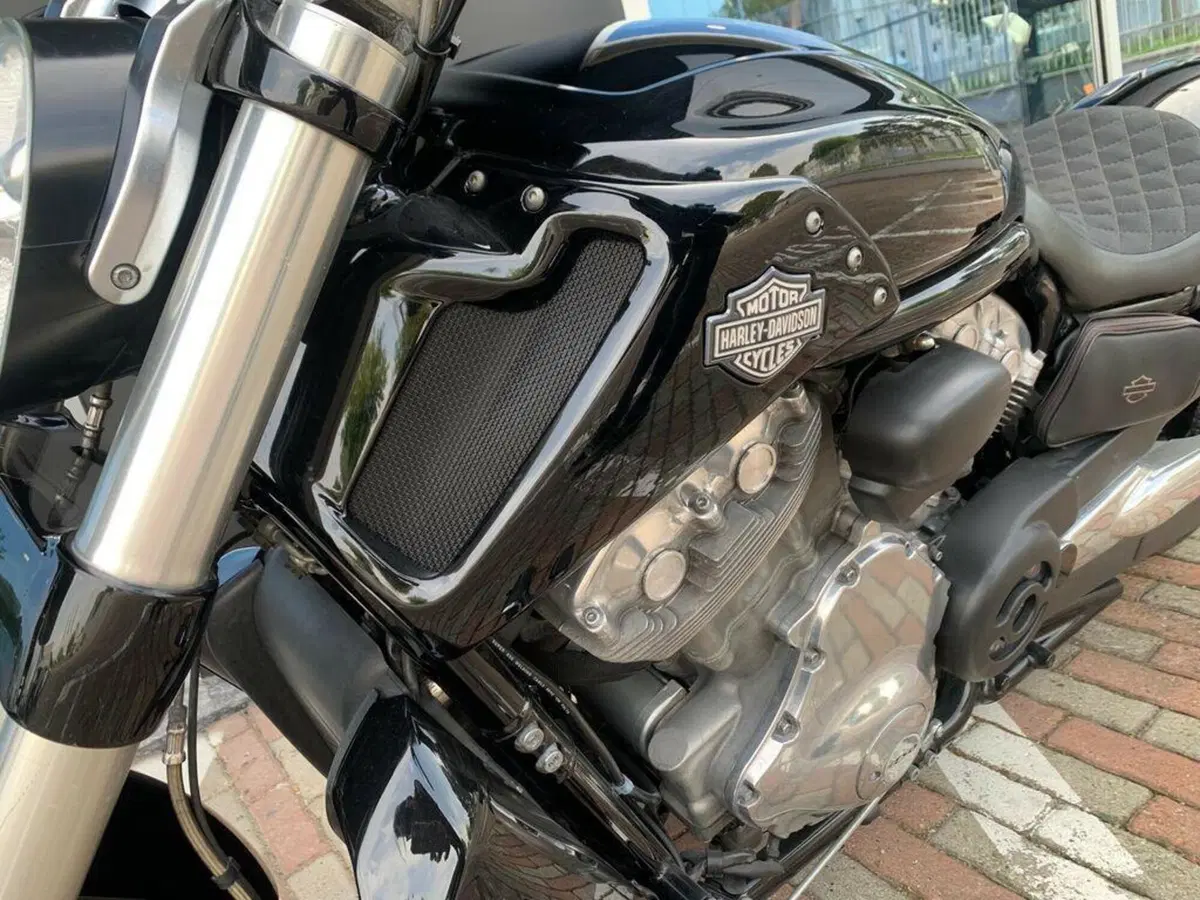 Harley-Davidson 1250 V-Rod Muscle (2009 - 17) - VRSCF (6)