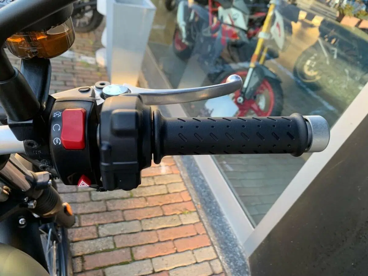 Triumph Street Scrambler 900 (2017 - 18) (10)
