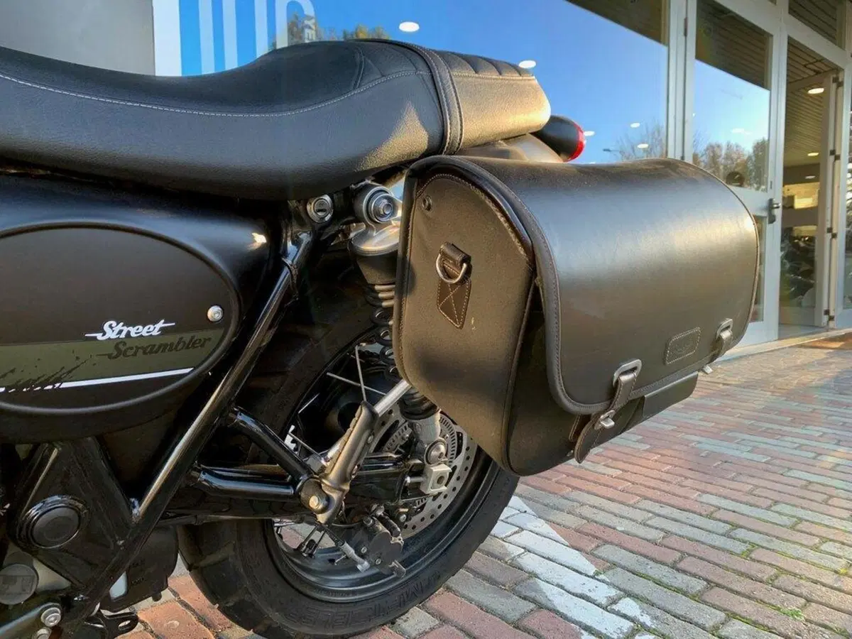 Triumph Street Scrambler 900 (2017 - 18) (8)