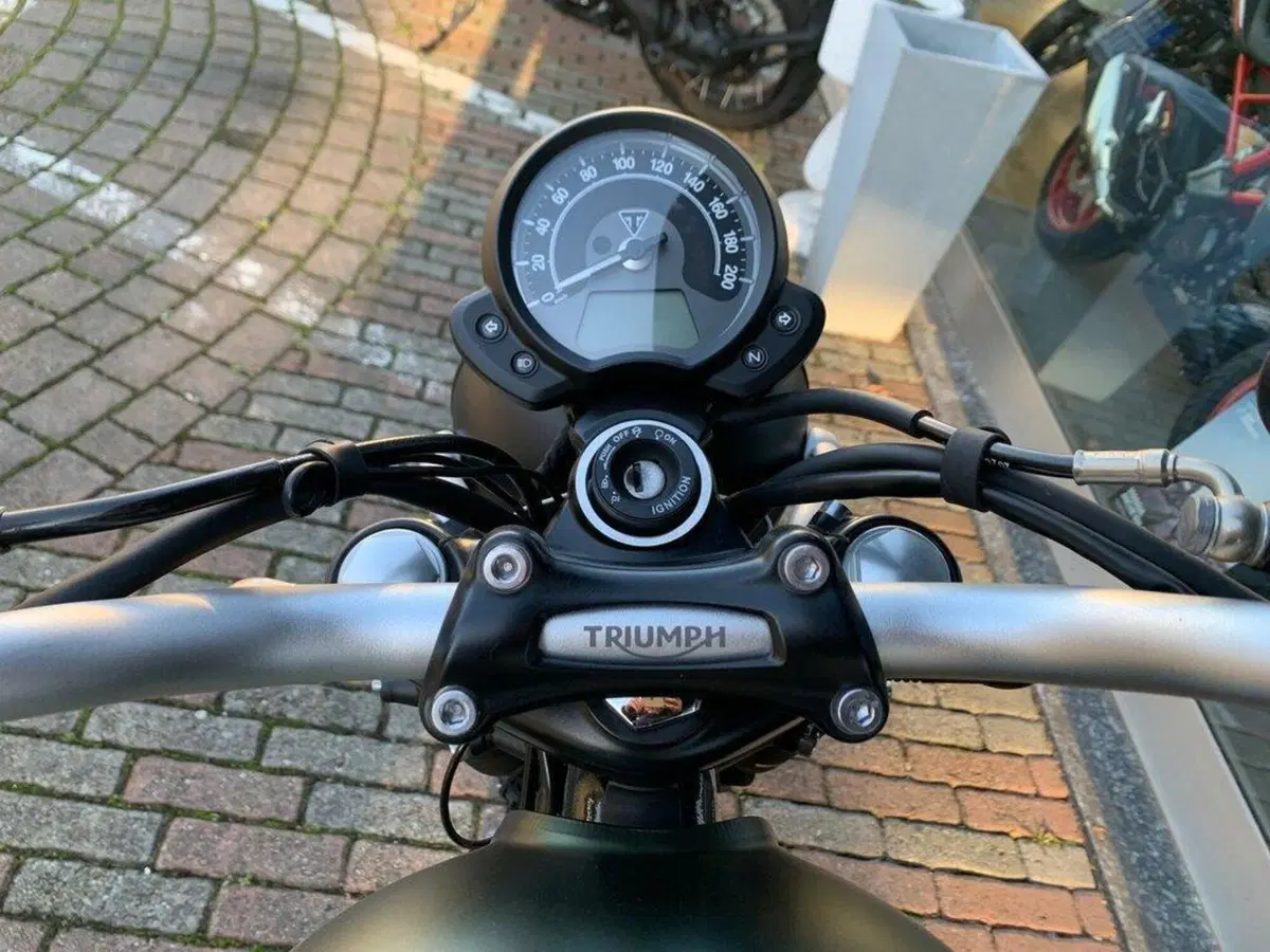 Triumph Street Scrambler 900 (2017 - 18) (11)