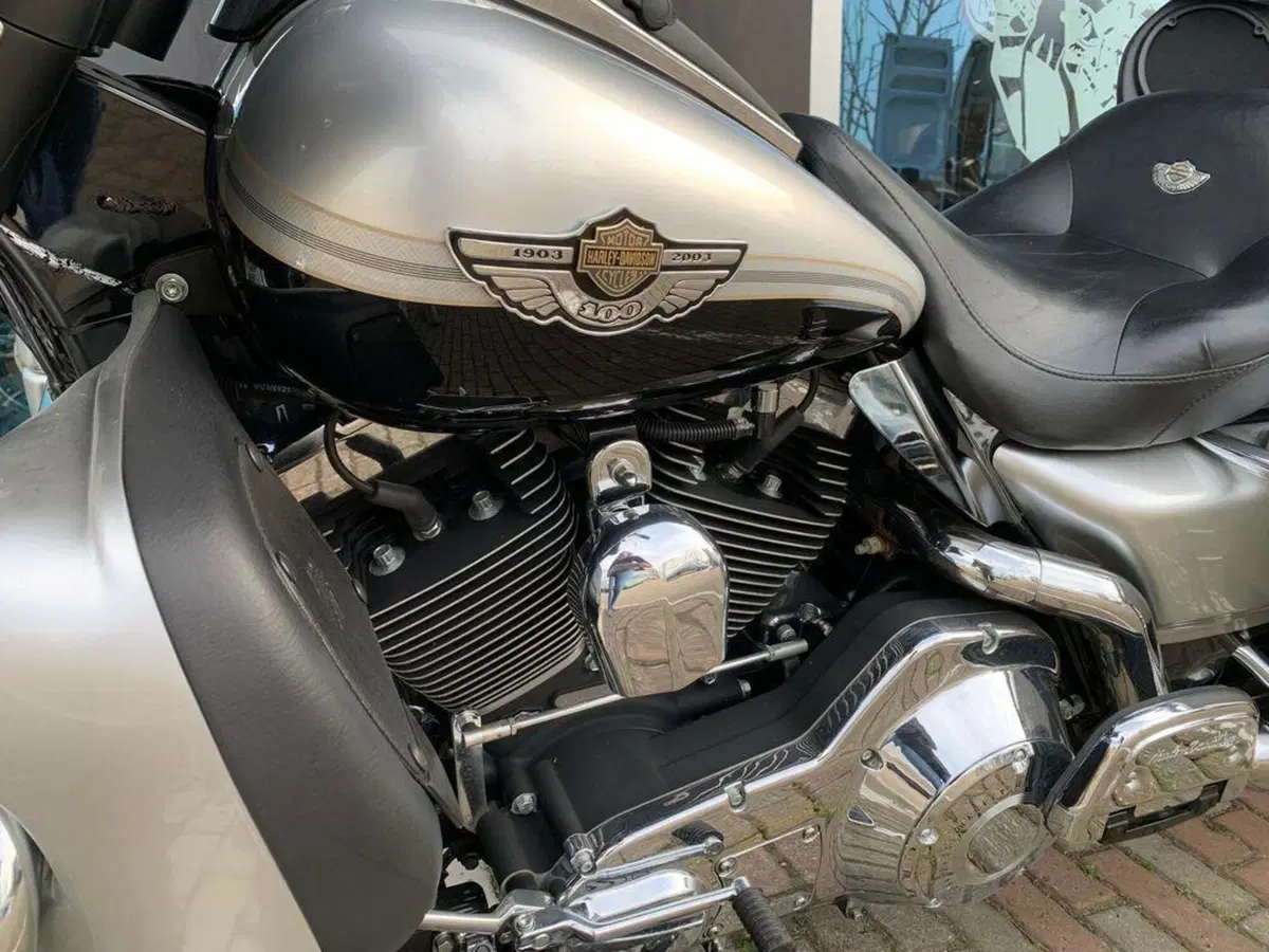 Harley-Davidson 1450 Electra Glide Ultra Classic (2003 - 05) - FLHTCUI (7)