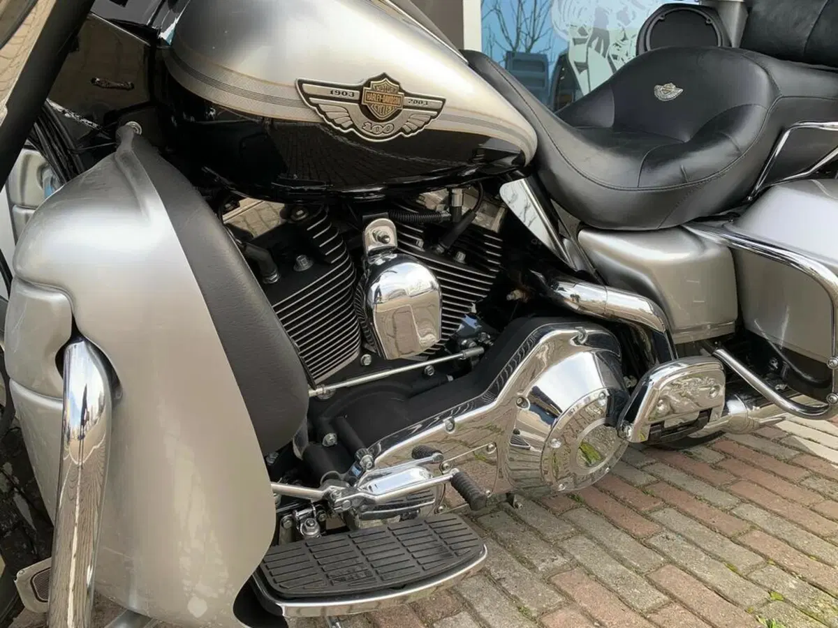 Harley-Davidson 1450 Electra Glide Ultra Classic (2003 - 05) - FLHTCUI (8)