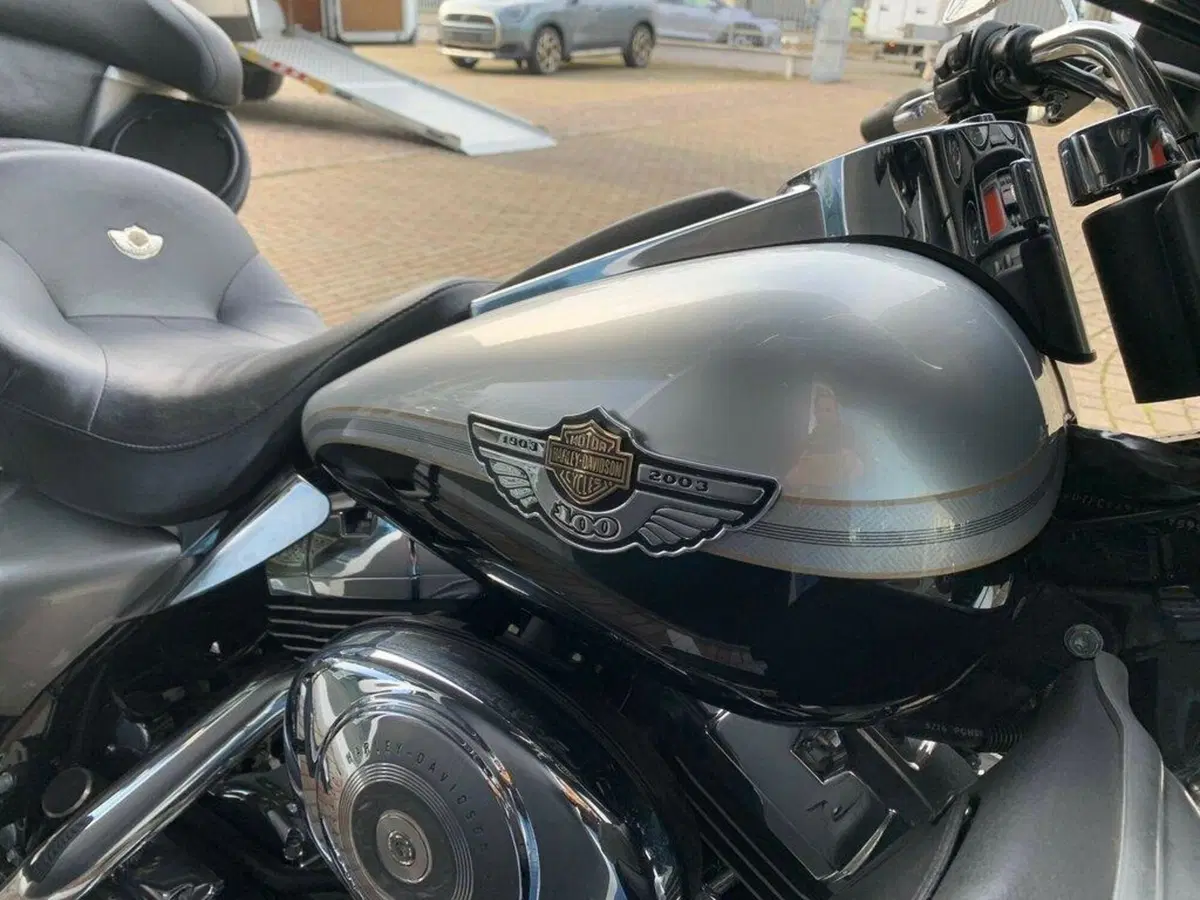 Harley-Davidson 1450 Electra Glide Ultra Classic (2003 - 05) - FLHTCUI (3)