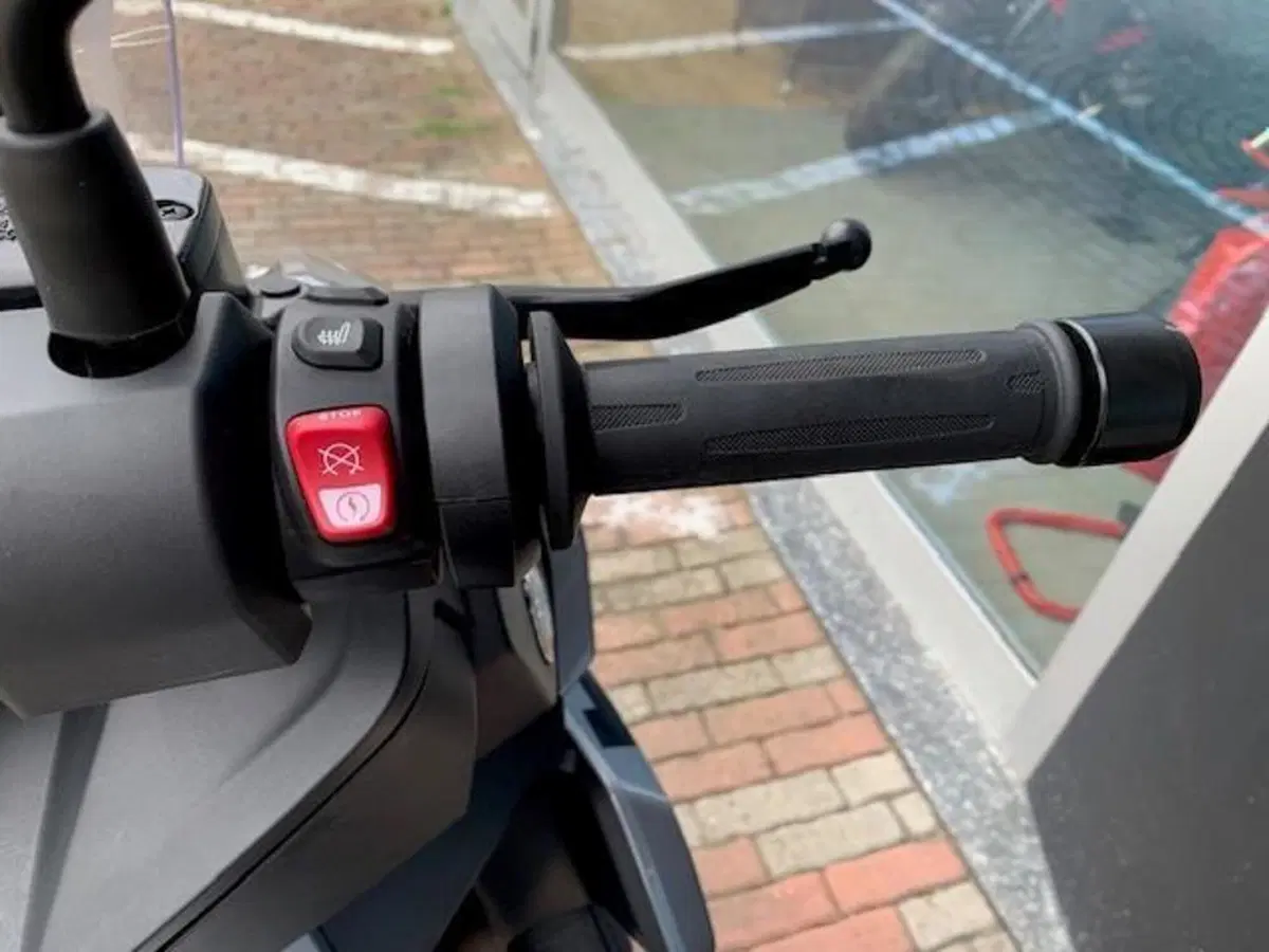 Bmw C 400 X (2018 - 20) (11)
