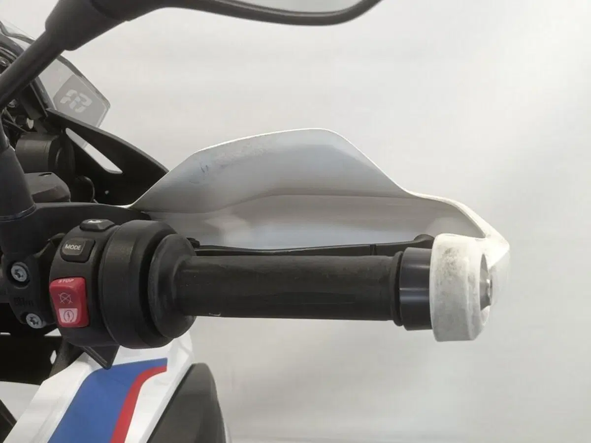 Bmw R 1250 GS (2019 - 20) (9)