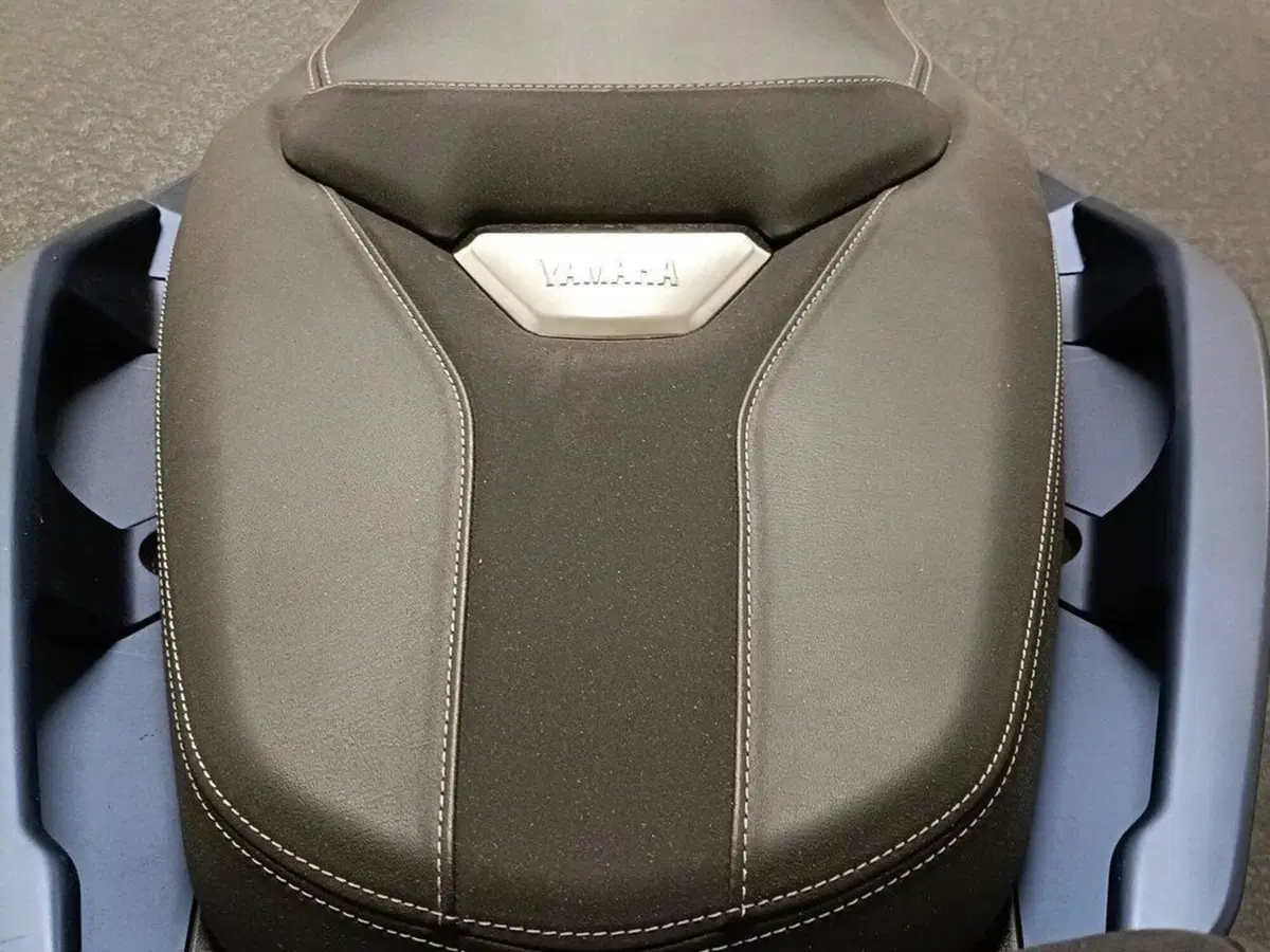Yamaha X-Max 400 Iron Max (2019 - 20) (10)