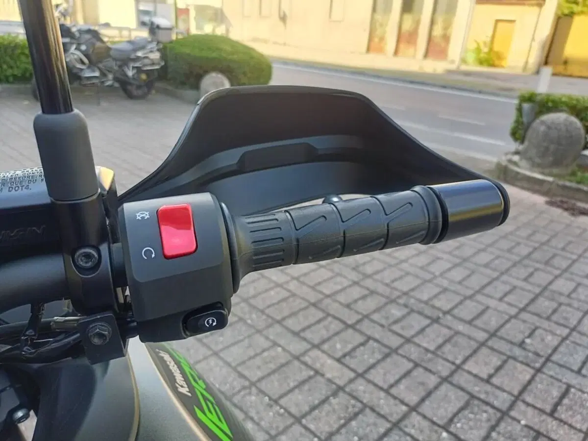 Kawasaki Versys 650 (2025 - 26) (13)