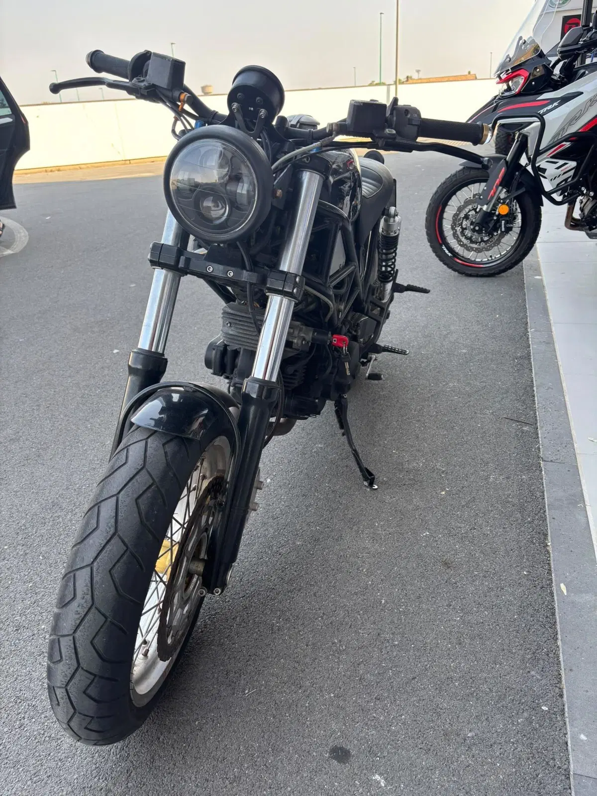 Ducati Monster 620 Dark (2003 - 06) (3)