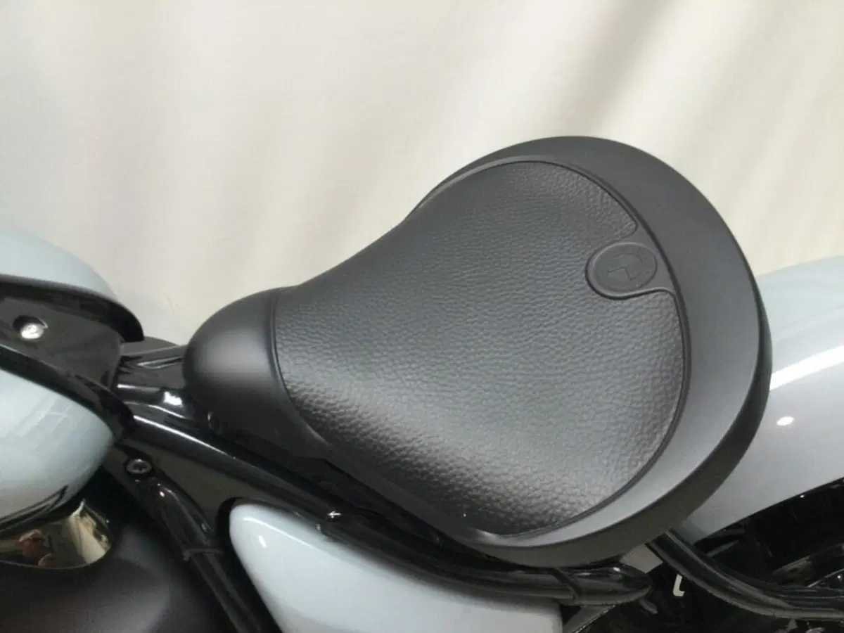 Bmw R 18 (2025 - 26) (11)