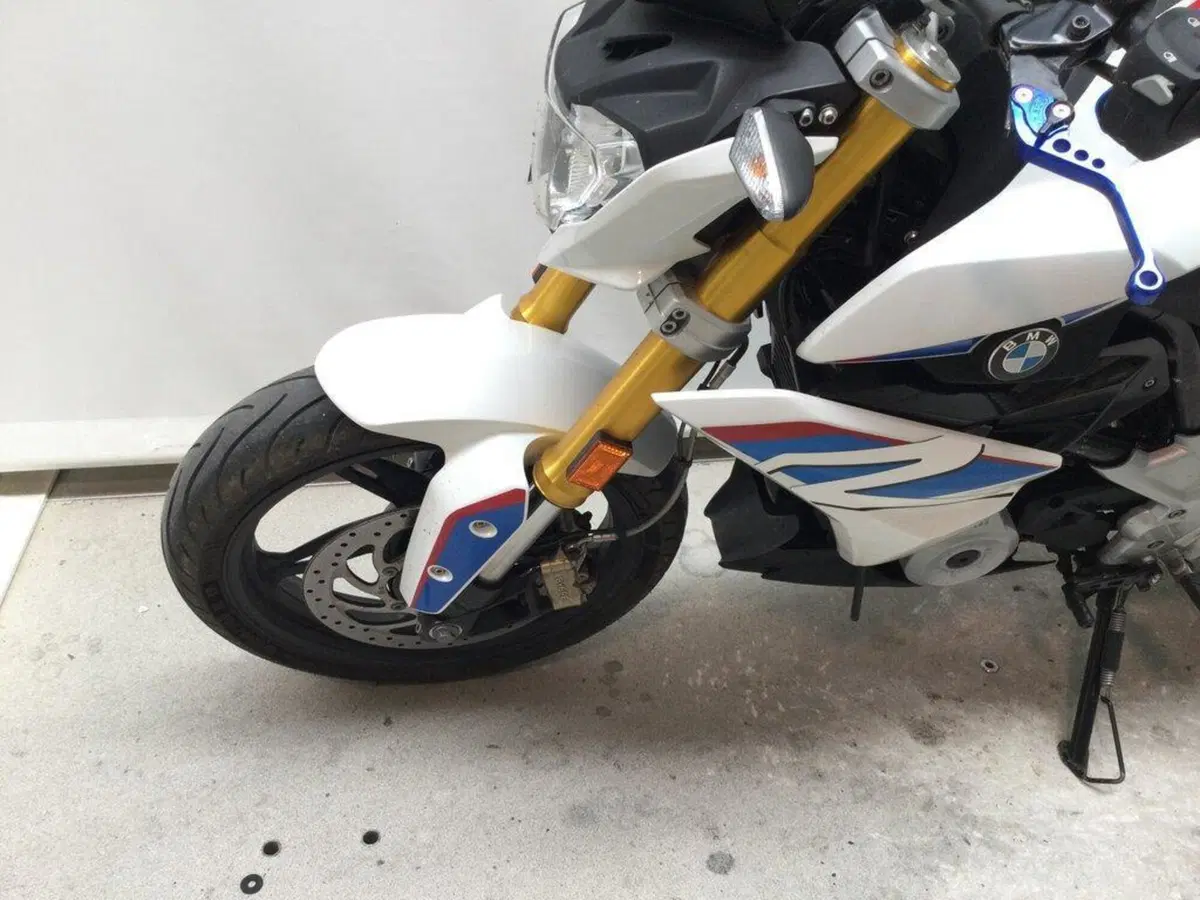 Bmw G 310 R (2016 - 20) (7)
