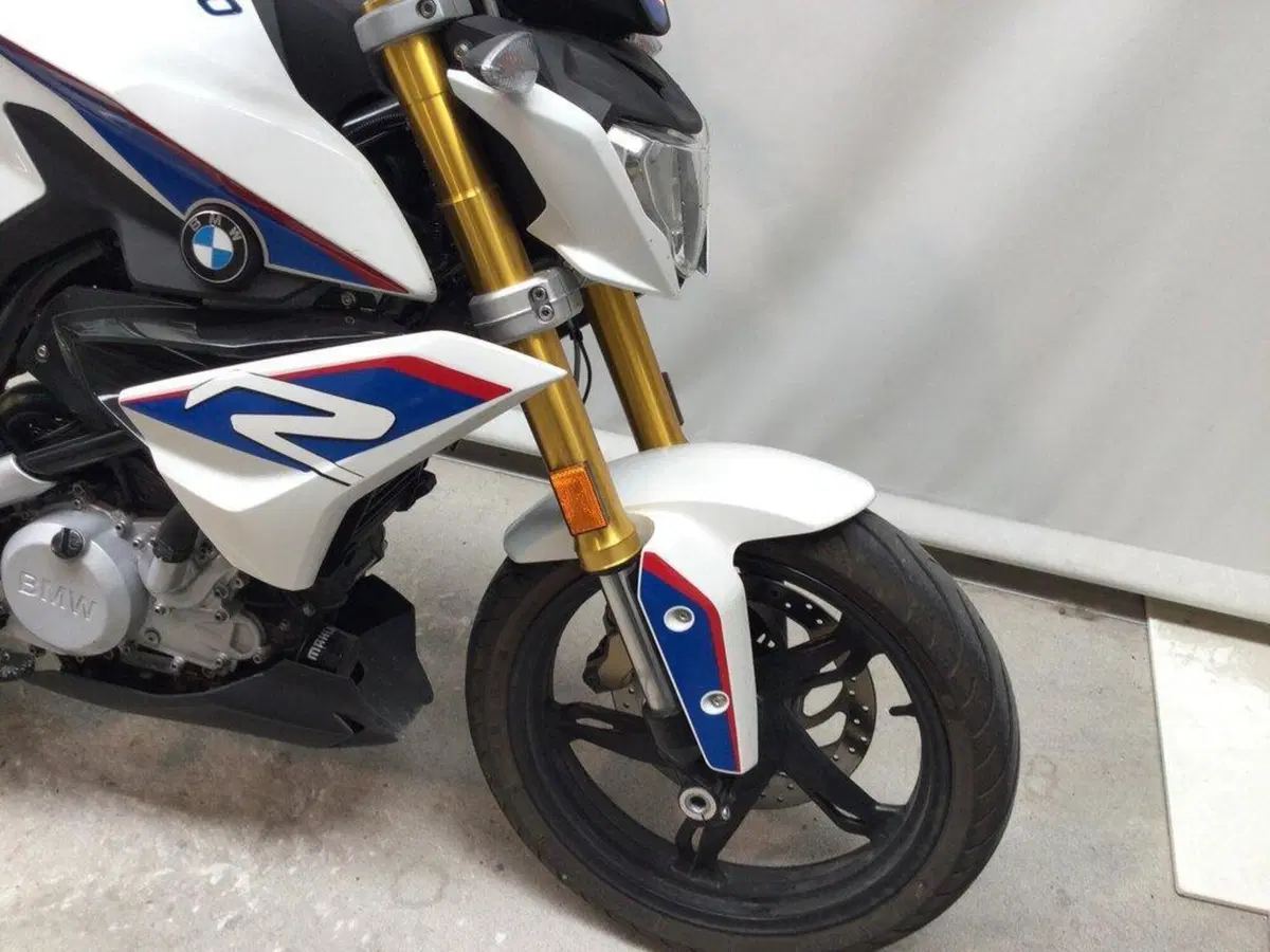 Bmw G 310 R (2016 - 20) (4)