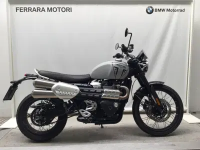 Triumph Scrambler 1200 X (2024 - 26) usata