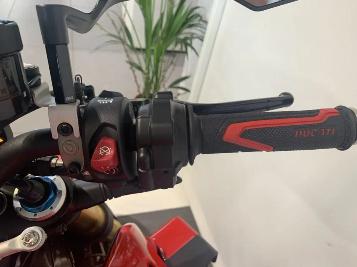 Ducati Streetfighter V4 S (2023 - 24) (10)