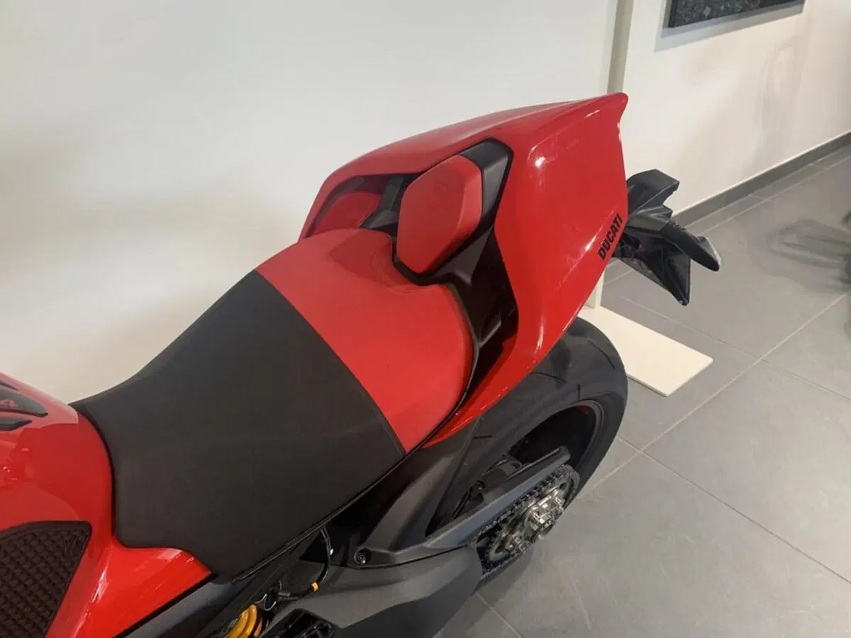 Ducati Streetfighter V4 S (2023 - 24) (7)