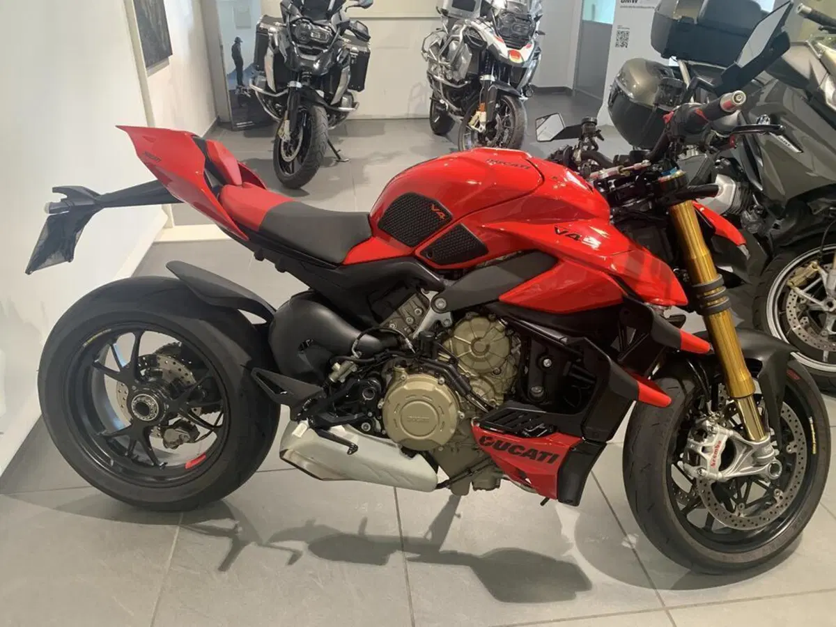 Ducati Streetfighter V4 S (2023 - 24) (14)