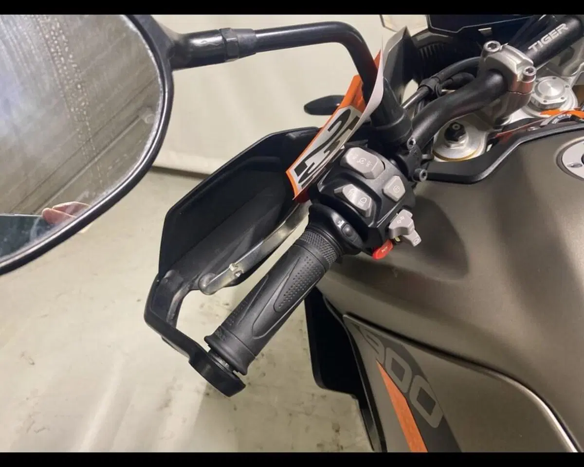 Triumph Tiger 900 Rally Pro (2020 - 23) (9)