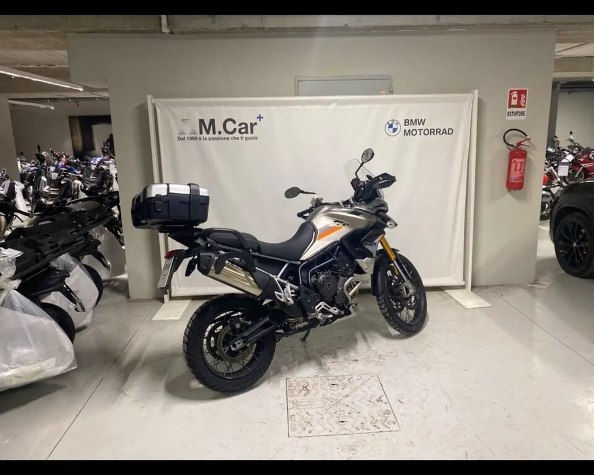 Triumph Tiger 900 Rally Pro (2020 - 23) (6)