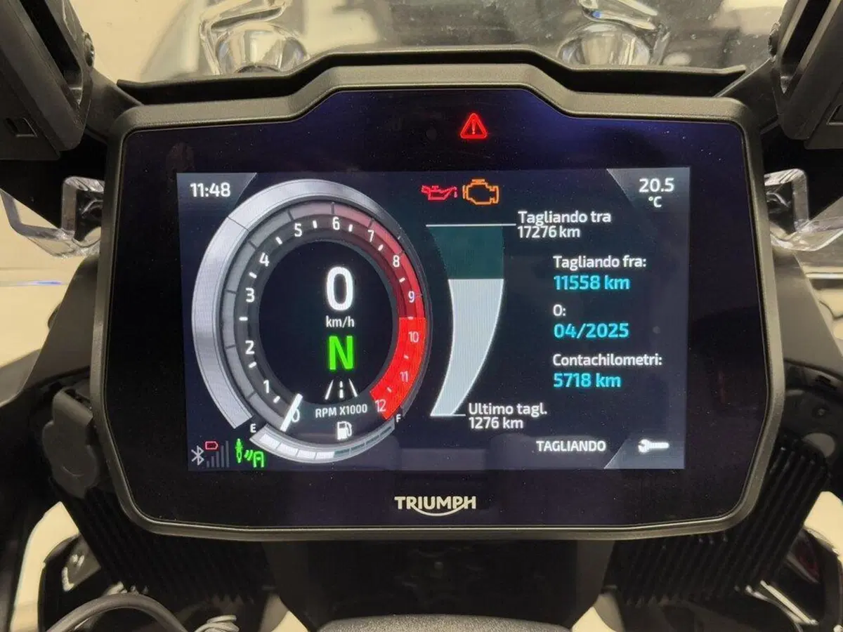 Triumph Tiger 1200 Rally Explorer (2022 - 23) (7)