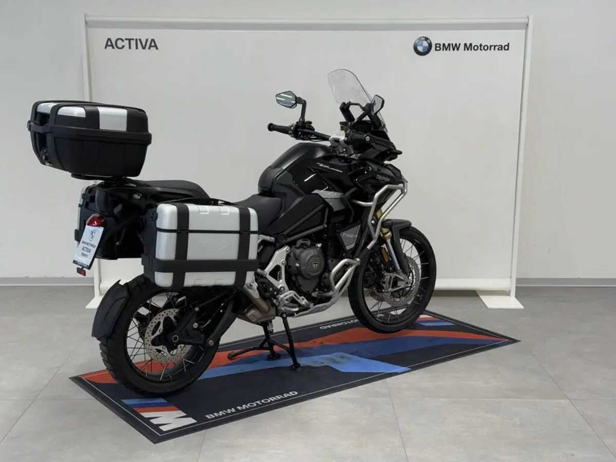 Triumph Tiger 1200 Rally Explorer (2022 - 23) (6)