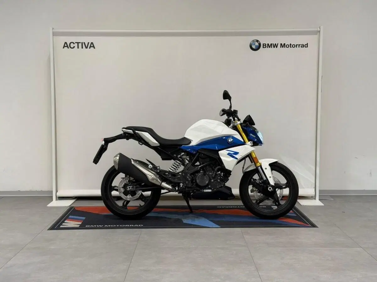Bmw G 310 R (2021 - 25) (2)