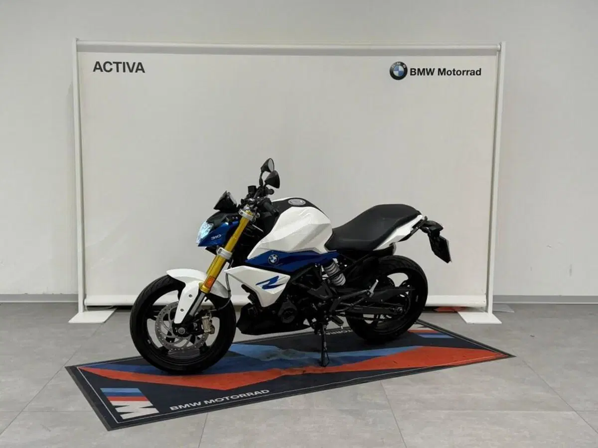 Bmw G 310 R (2021 - 25) (5)