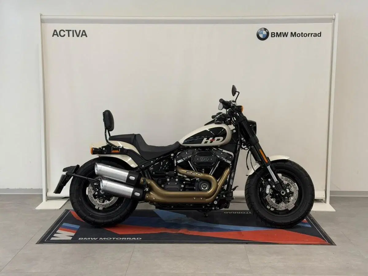 Harley-Davidson 114 Fat Bob (2018 - 20) - FXFBS (2)