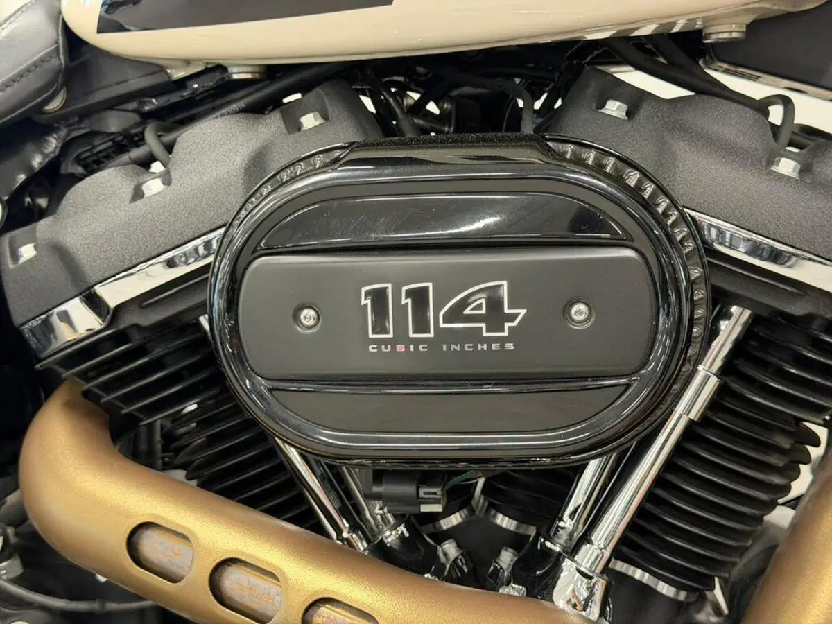 Harley-Davidson 114 Fat Bob (2018 - 20) - FXFBS (14)