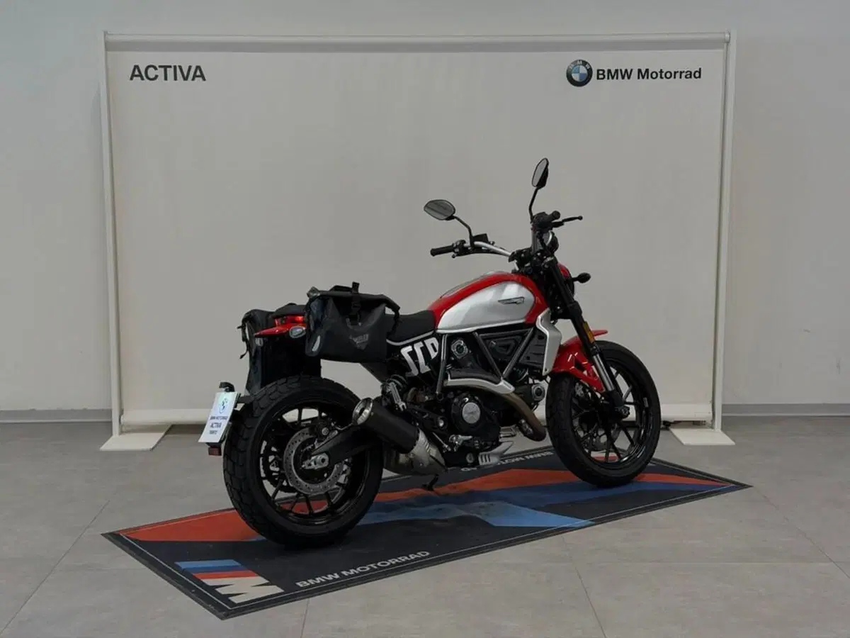 Ducati Scrambler 800 Icon (2023 - 24) (6)