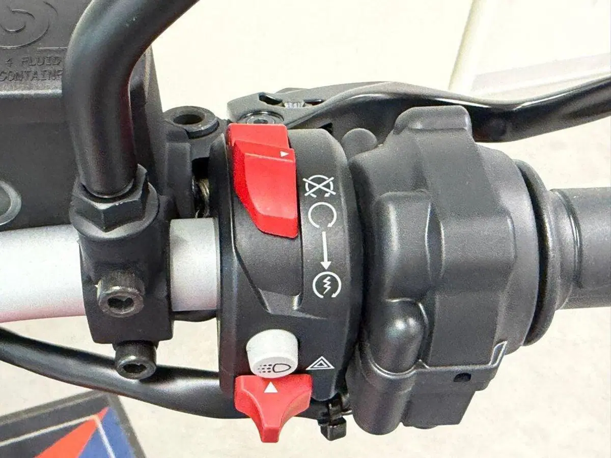 Ducati Scrambler 800 Icon (2023 - 24) (9)