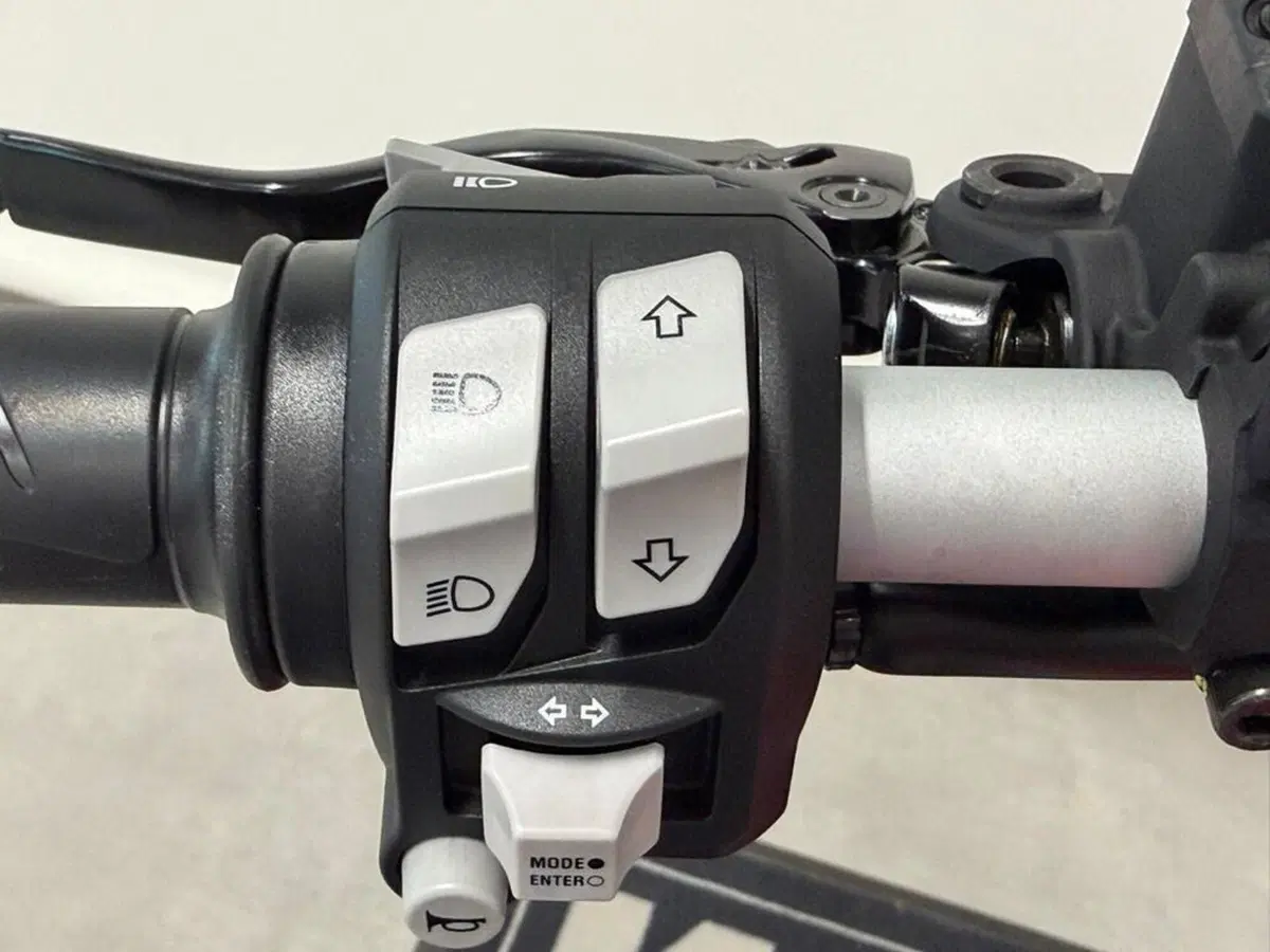 Ducati Scrambler 800 Icon (2023 - 24) (8)