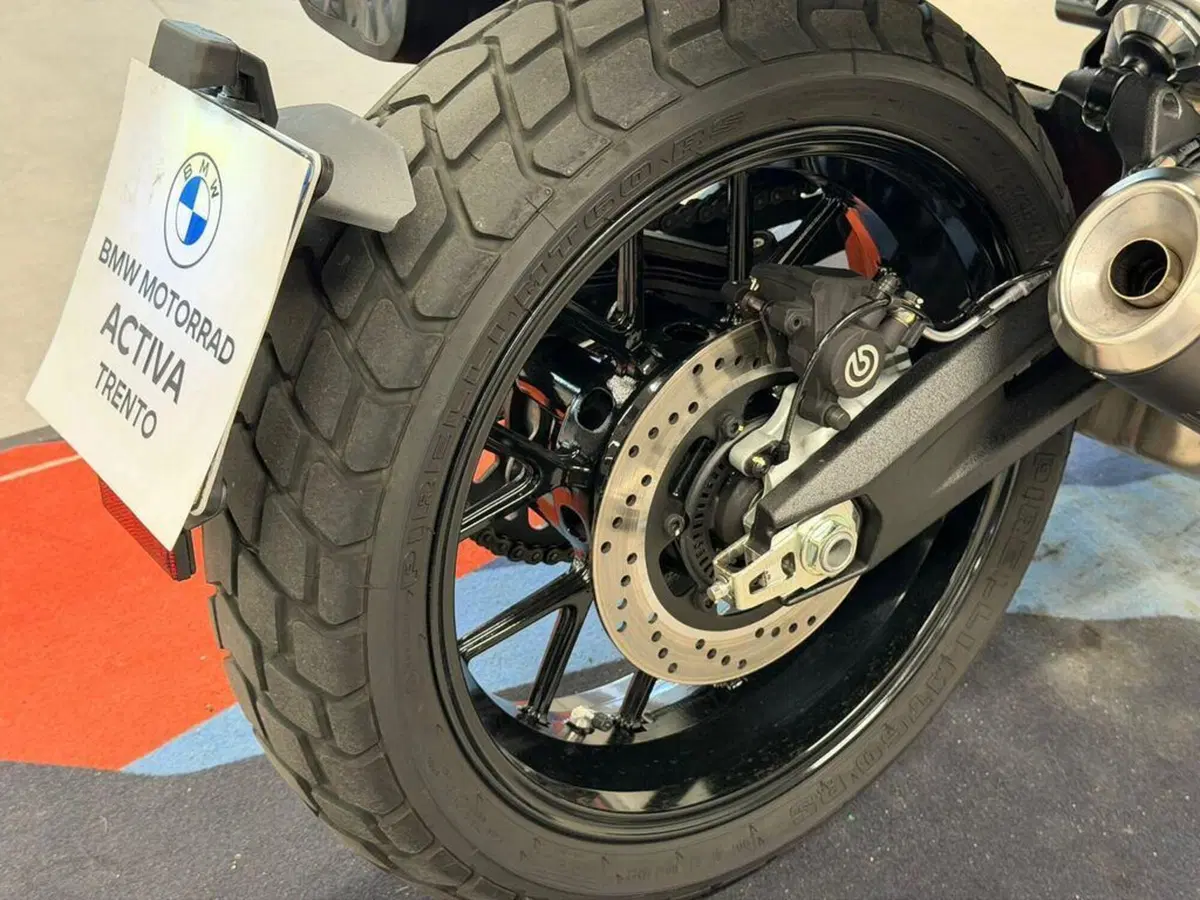Ducati Scrambler 800 Icon (2023 - 24) (12)
