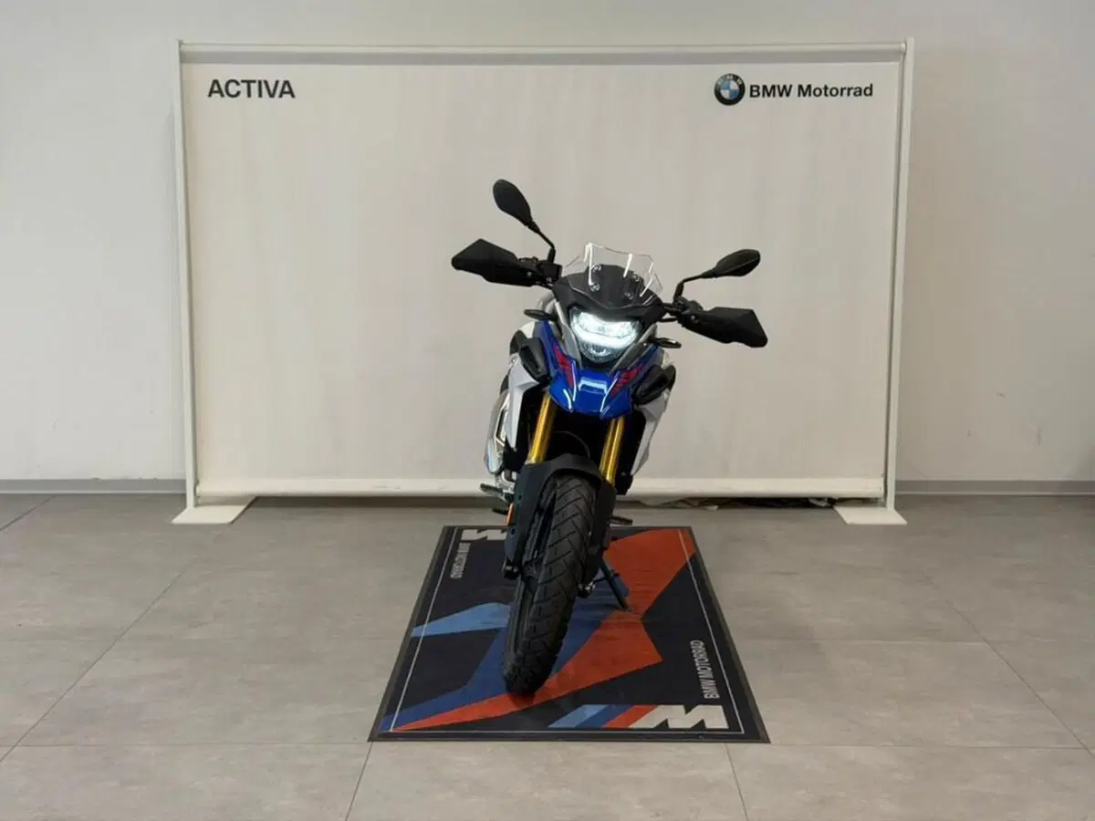 Bmw G 310 GS (2021 - 25) (3)