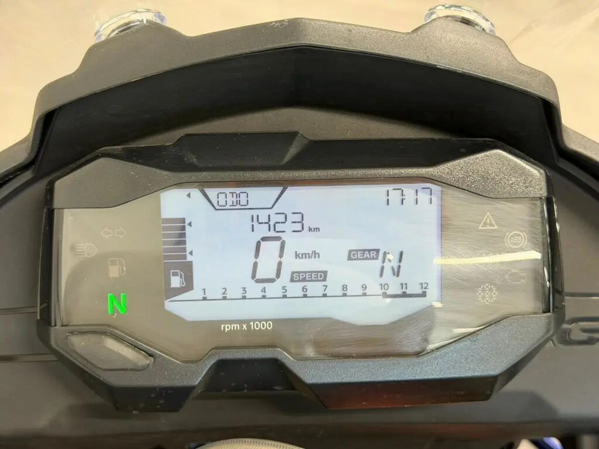 Bmw G 310 GS (2021 - 25) (7)