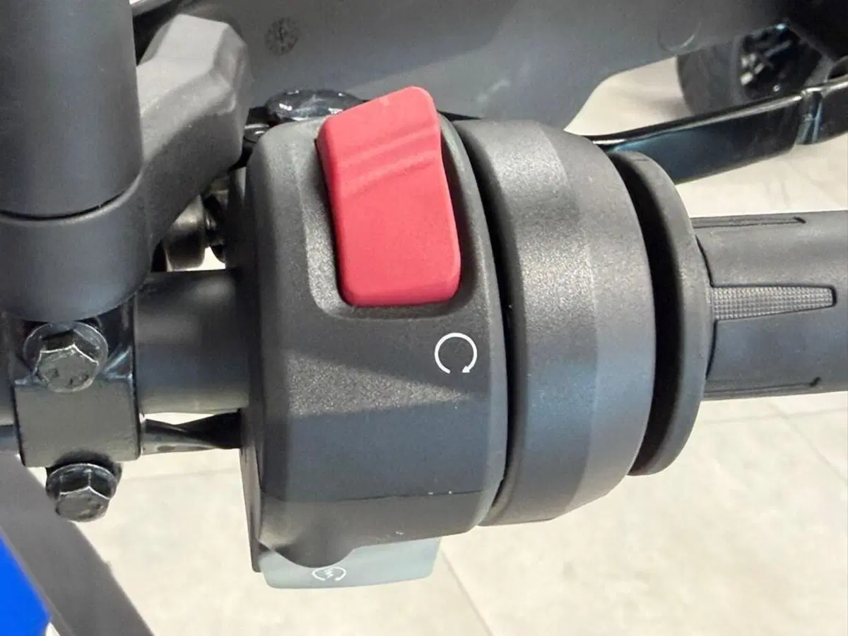 Bmw G 310 GS (2021 - 25) (9)