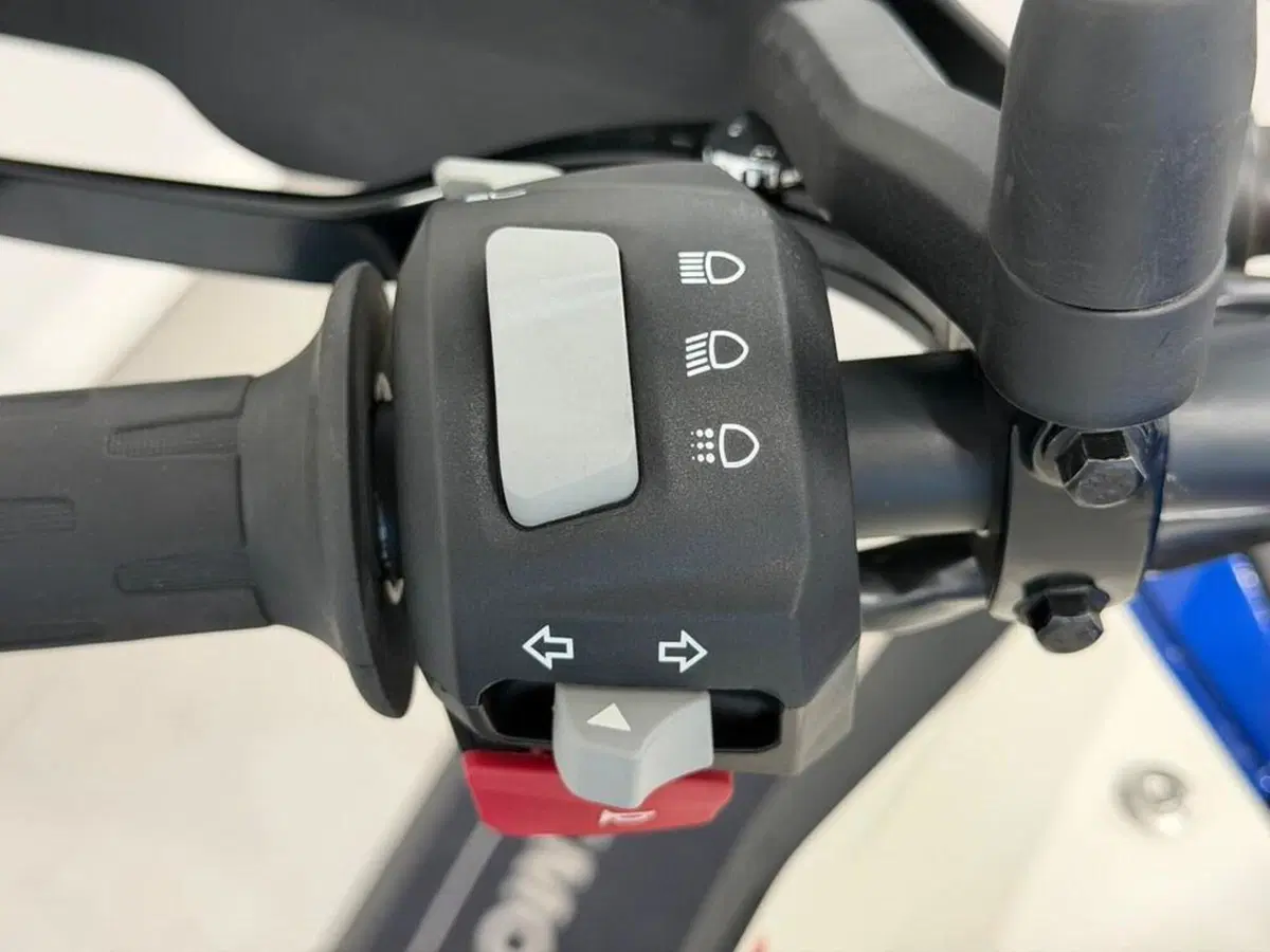 Bmw G 310 GS (2021 - 25) (8)