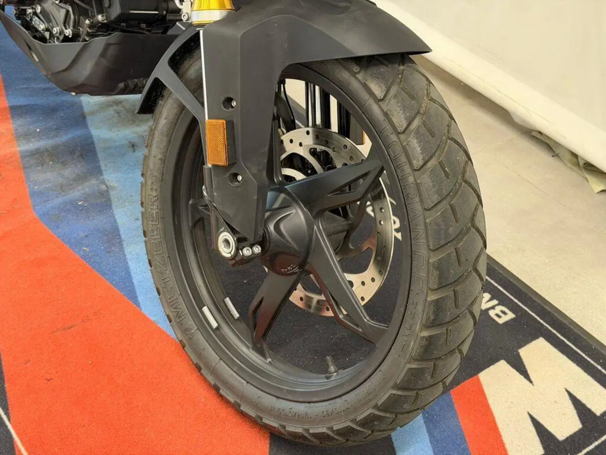 Bmw G 310 GS (2021 - 25) (11)