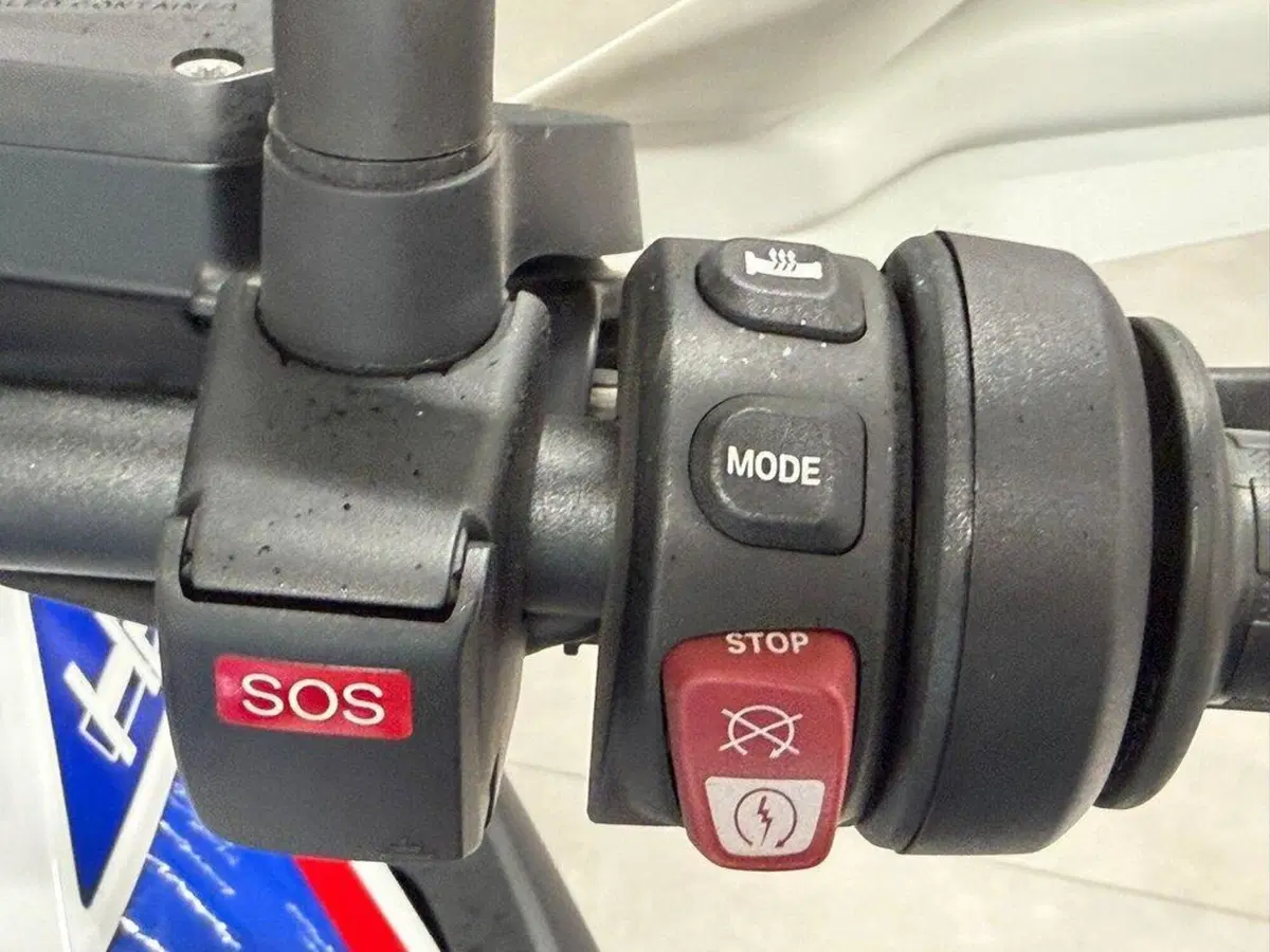 Bmw R 1250 GS (2019 - 20) (9)
