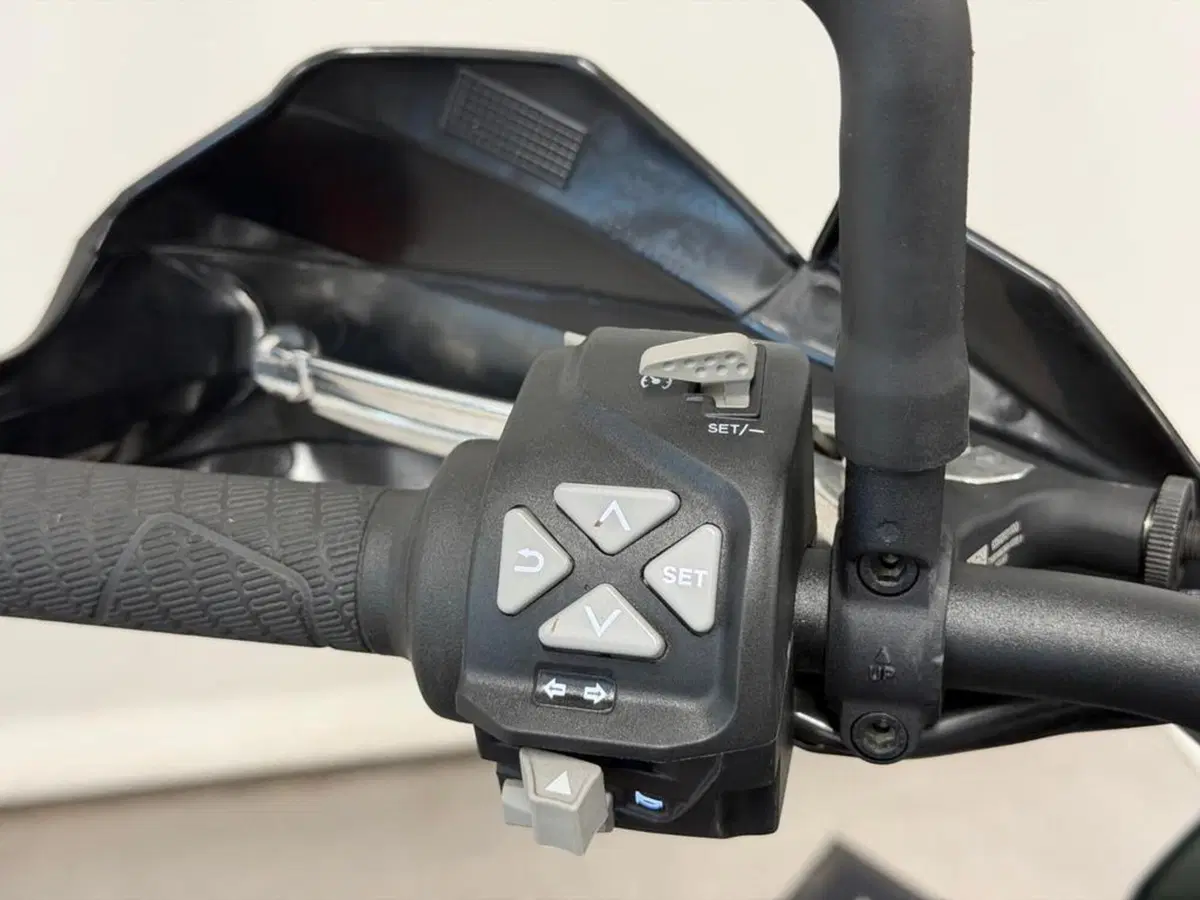 KTM 890 Adventure (2021) (8)