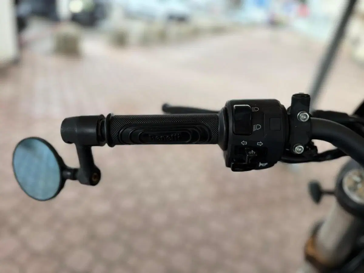 Benelli Leoncino 500 Trail (2021 - 26) (8)