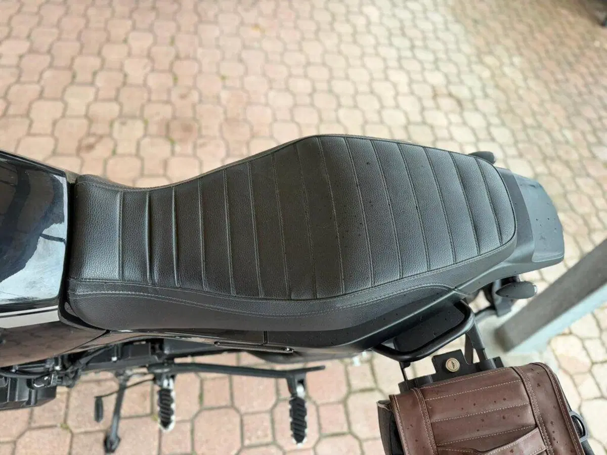 Benelli Leoncino 500 Trail (2021 - 26) (6)
