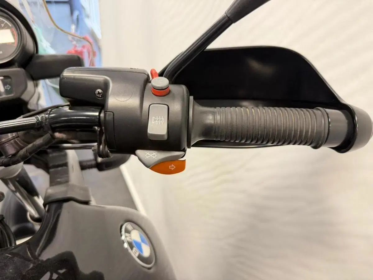 Bmw R 1150 GS (1999 - 03) (10)