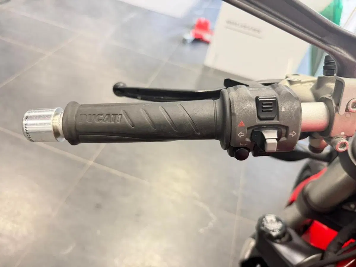 Ducati Monster 1200 (2014 - 16) (8)