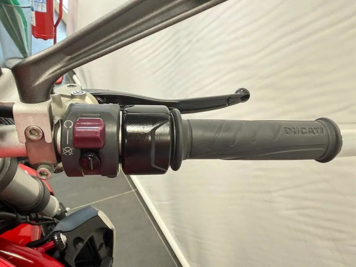 Ducati Monster 1200 (2014 - 16) (10)