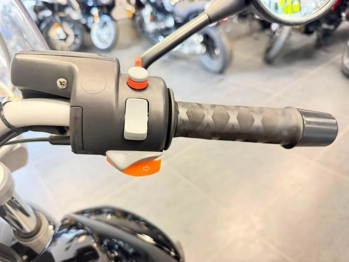 Bmw R 1150 R (2000 - 07) (8)
