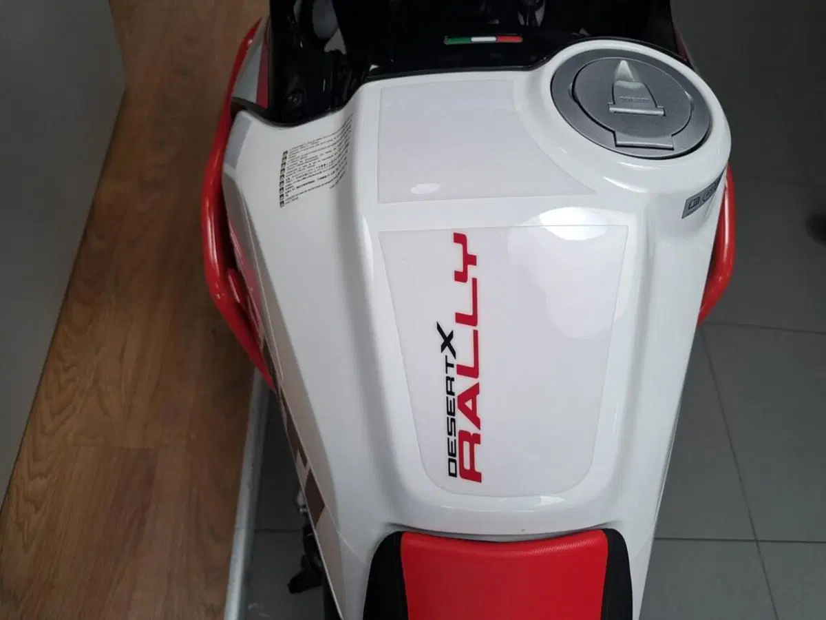 Ducati DesertX Rally (2024 - 25) (5)