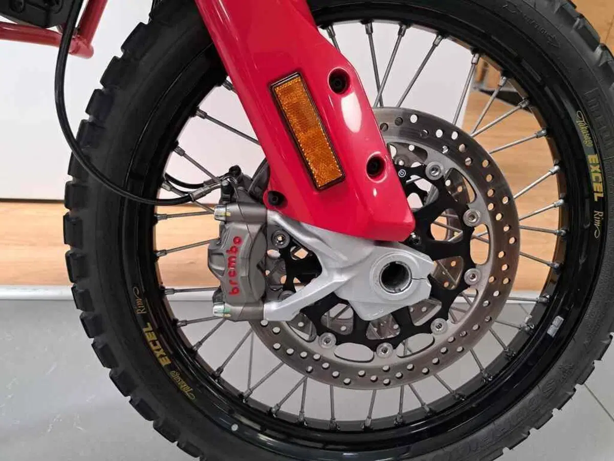 Ducati DesertX Rally (2024 - 25) (10)